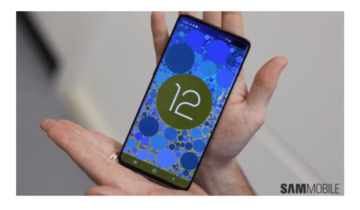 Samsung Galaxy M31 Android 12