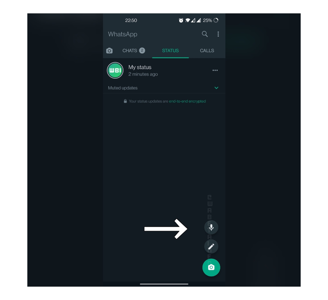 An upcoming Whatsapp feature to allow voice notes on status