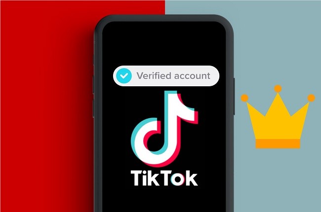 Tips to Get Verified on TikTok and Grow Your Account