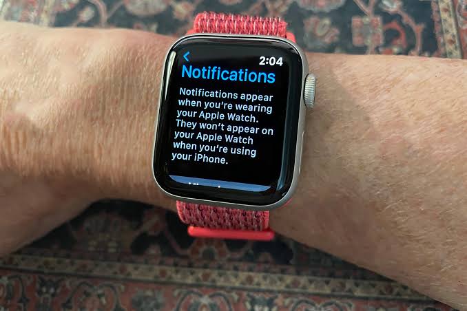 Hide Sensitive Notifications on Apple Watch