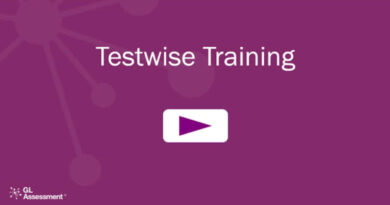 How do I Access the New Testwise Site