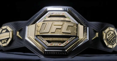 The Best Sites To Stream UFC Matches in 2024