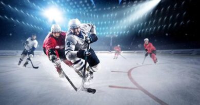 Free NHL Streaming Sites To check in 2024
